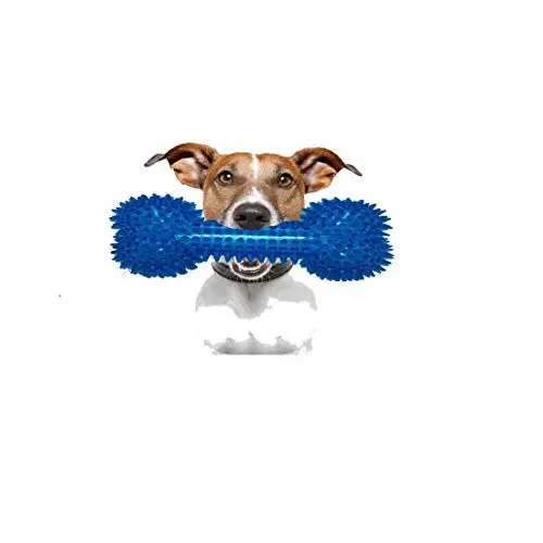 Adidog Bone Dog Toy Dog Chew Toy (Color May Vary)