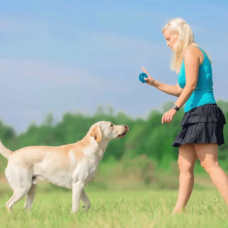 Durable Dog Chew Ball with Teeth Cleaning Features