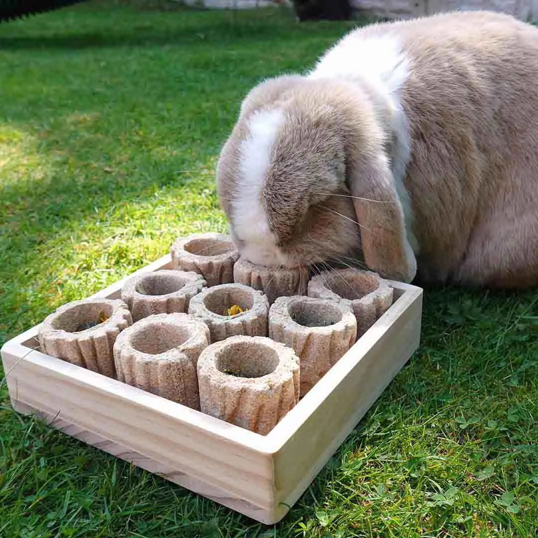 Hide 'N' Treat Forage Tray