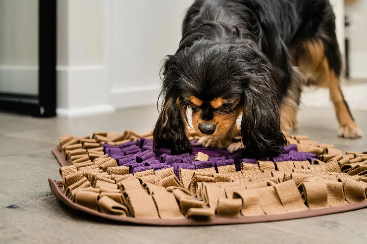 Injoya PB&J Grape Snuffle Mat