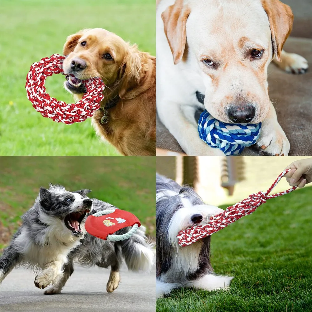 Interactive Ball & Rope Dog Toys