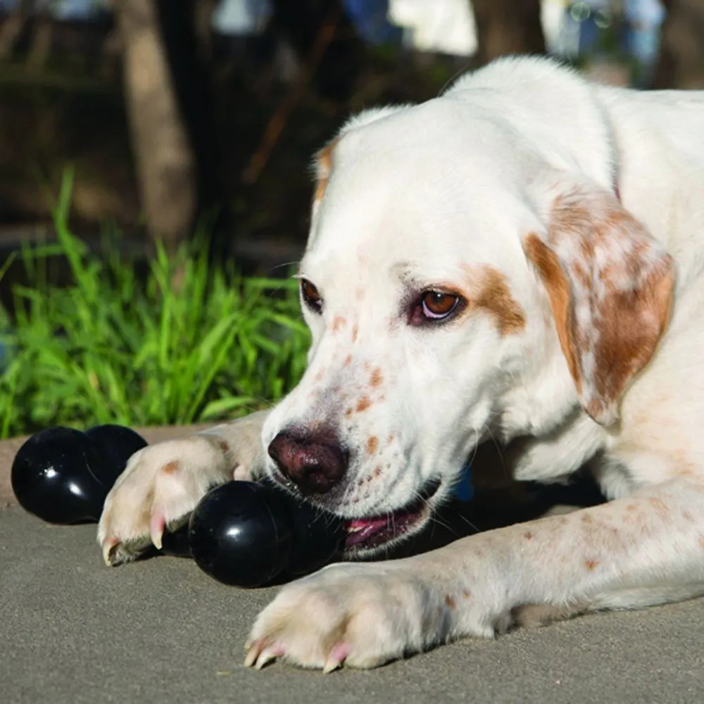 KONG Extreme Goodie Bone Durable Dog Toy - Large