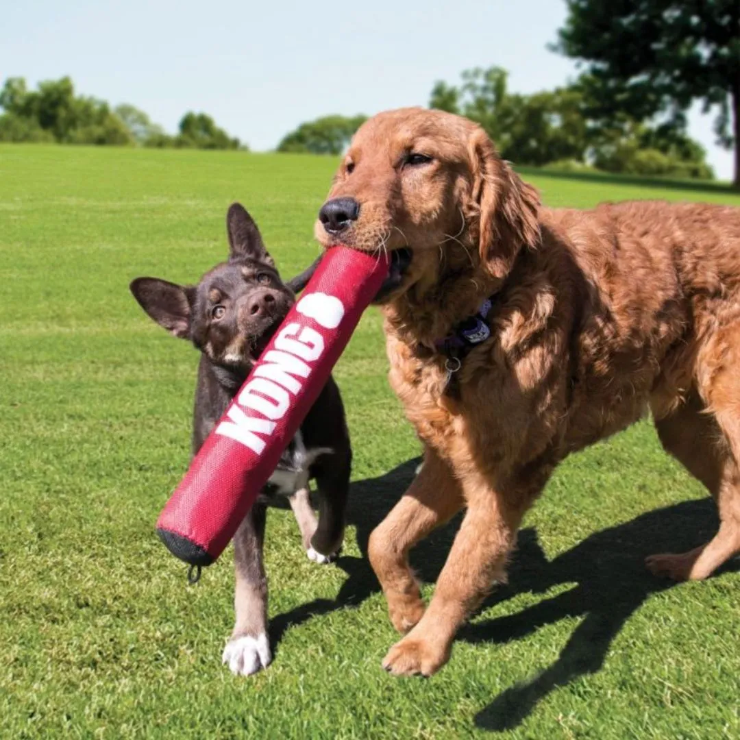 KONG Signature Stick - Safe Fetch Toy with Rattle & Squeak Dog Toy