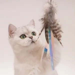 Mongsil Shuttlecock Cat Teaser Replacement