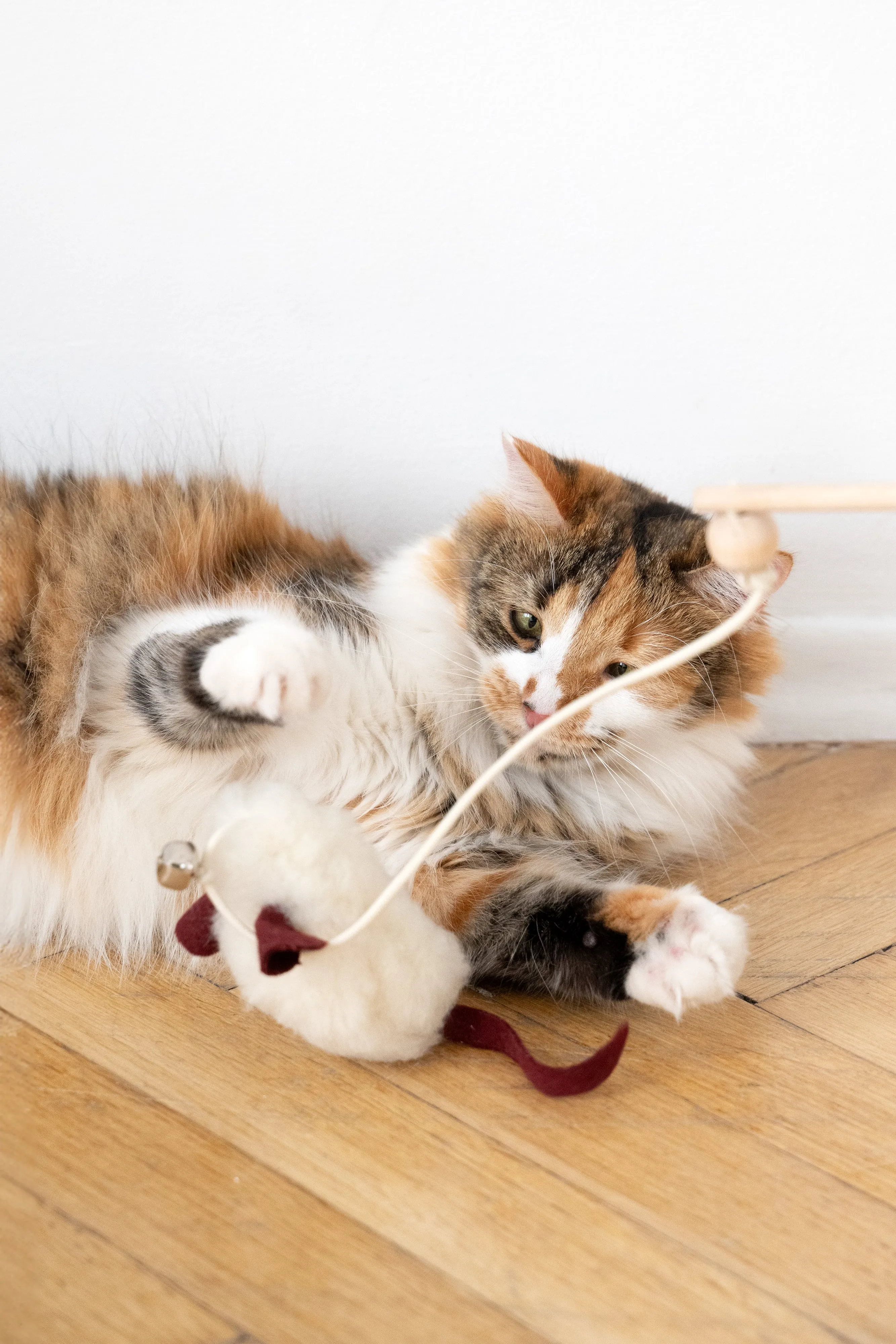 Natural Woolen Cat Toy: Mouse