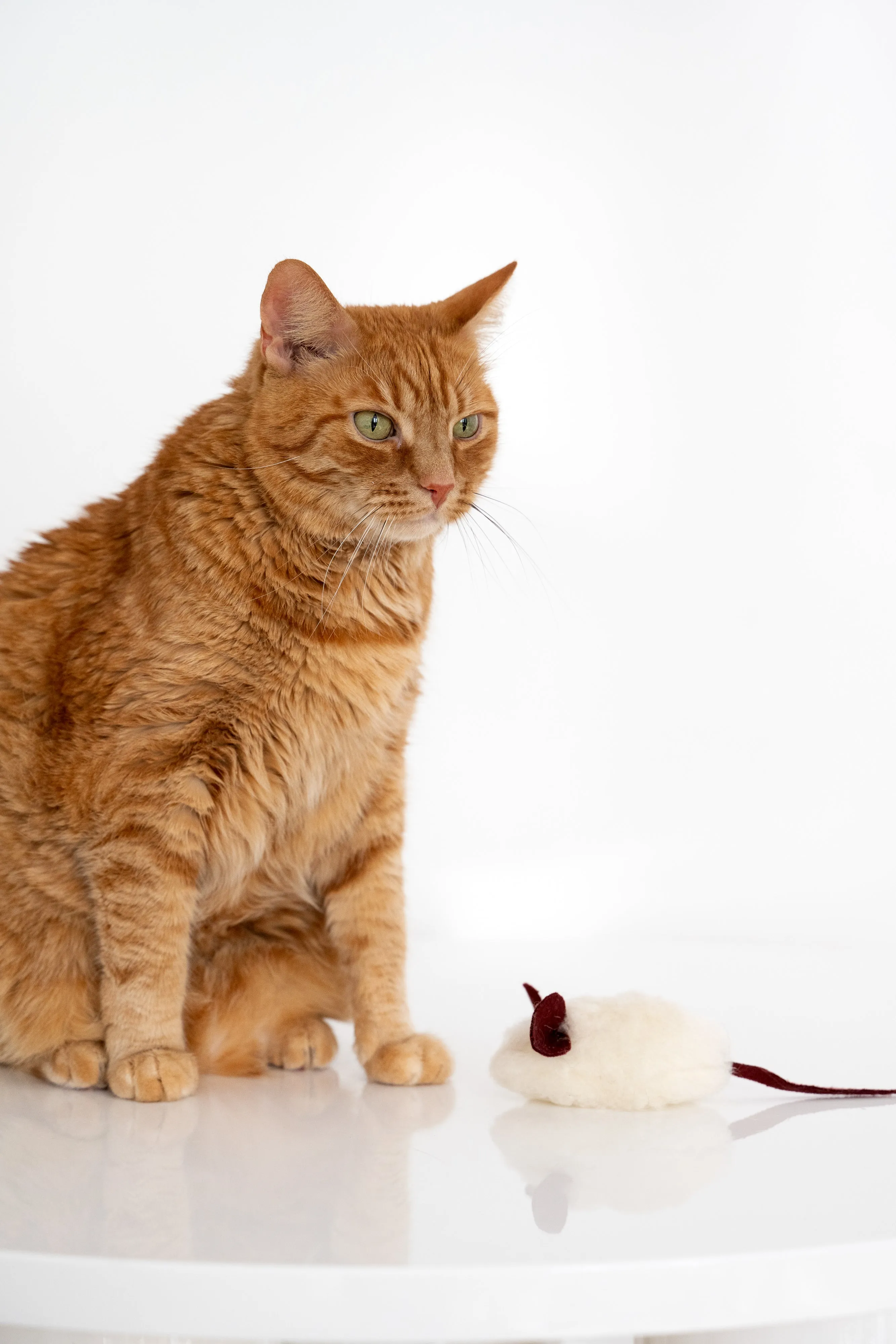 Natural Woolen Cat Toy: Mouse