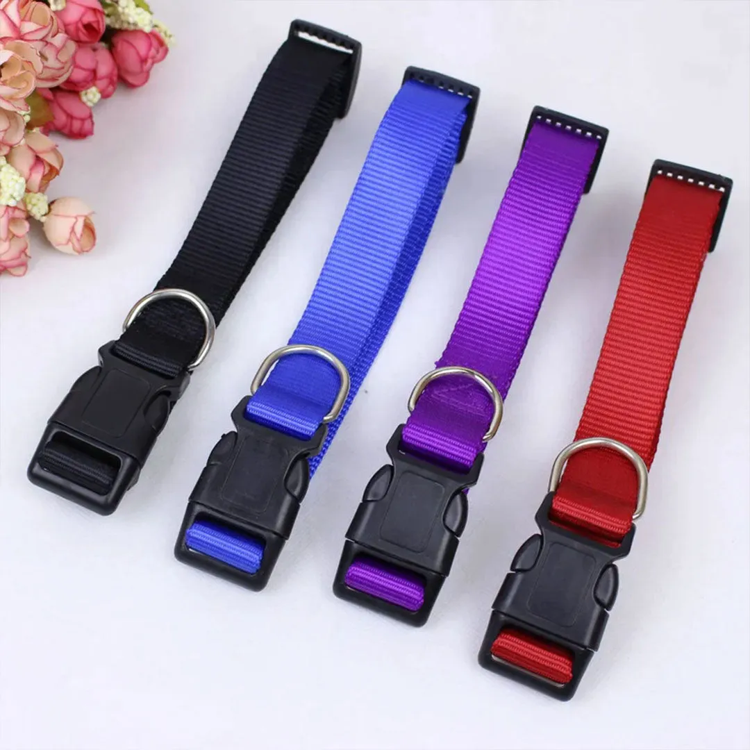 PetAffairs Functional Nylon Pet Dog Collar