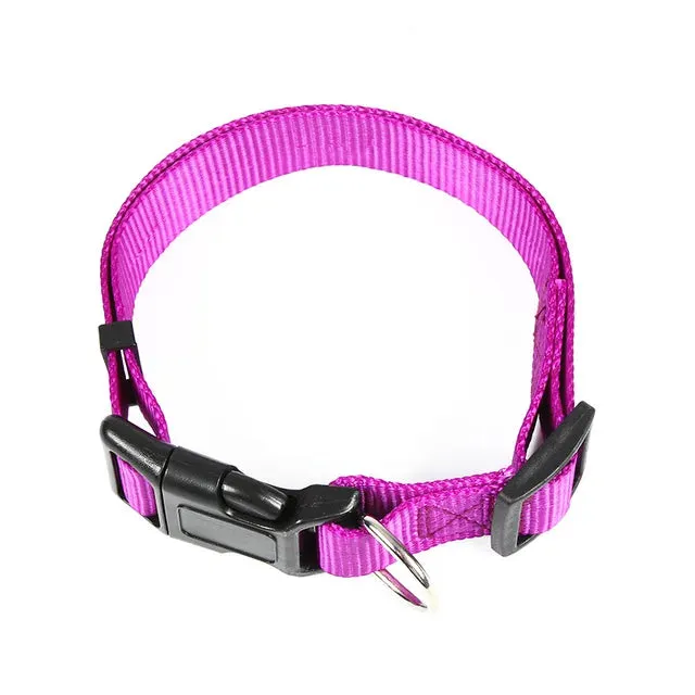 PetAffairs Functional Nylon Pet Dog Collar