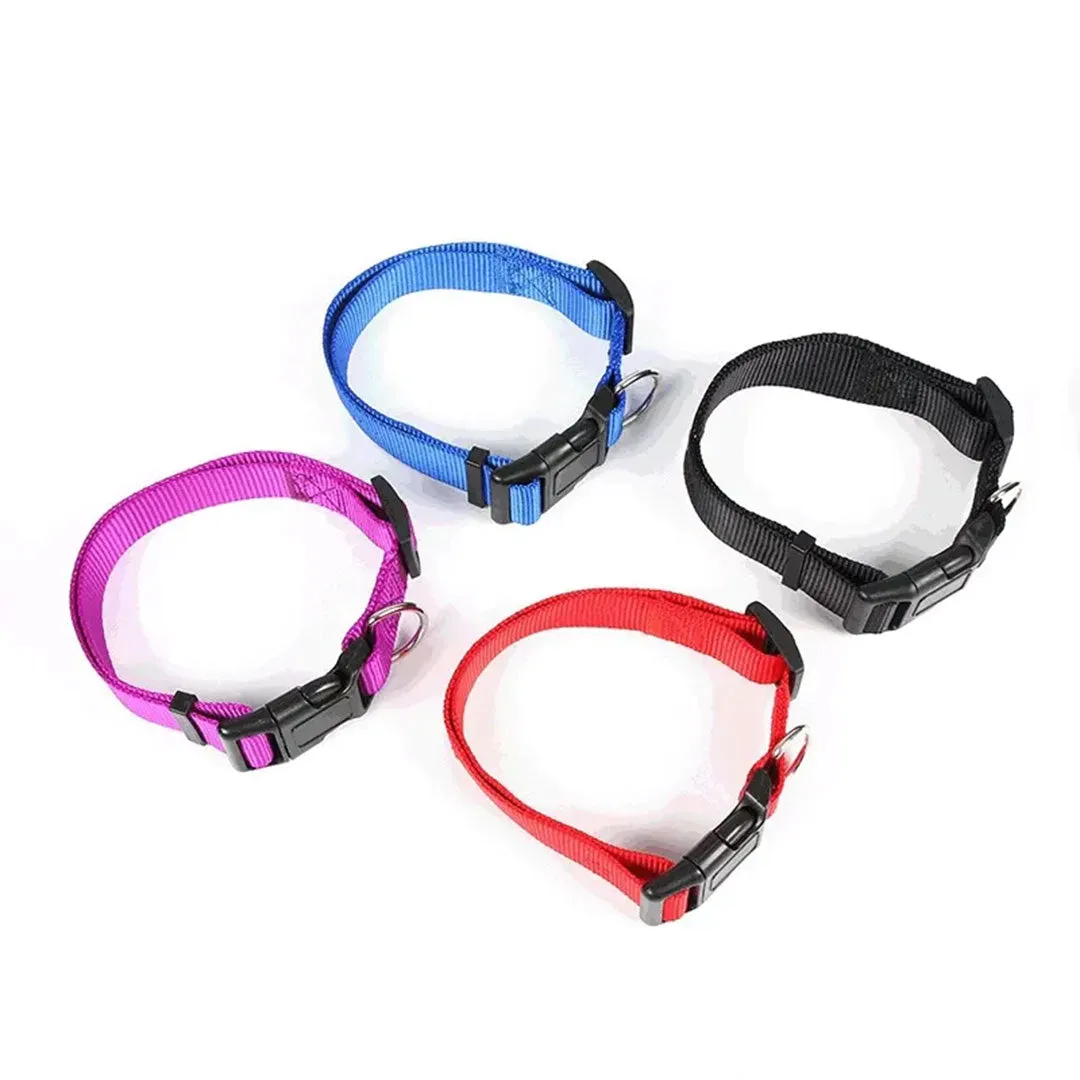 PetAffairs Functional Nylon Pet Dog Collar