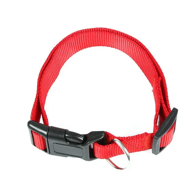 PetAffairs Functional Nylon Pet Dog Collar