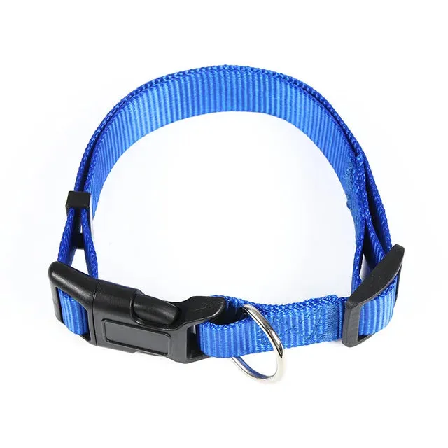 PetAffairs Functional Nylon Pet Dog Collar