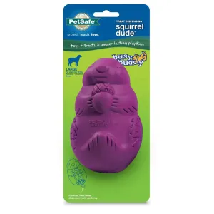 Petsafe Busy Buddy Squirrel Dude Treat Dispenser Dog Chew Toy