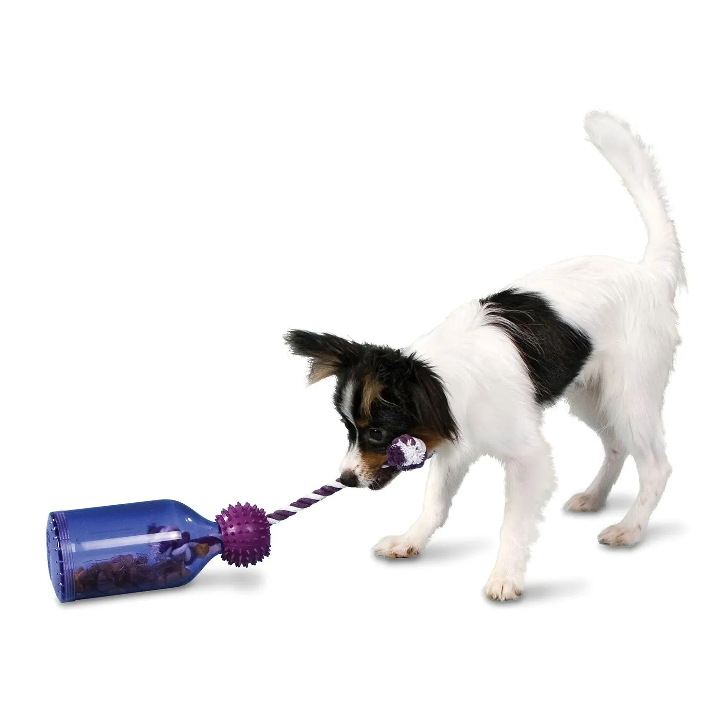 PetSafe Busy Buddy Tug-A-Jug Dog Toy