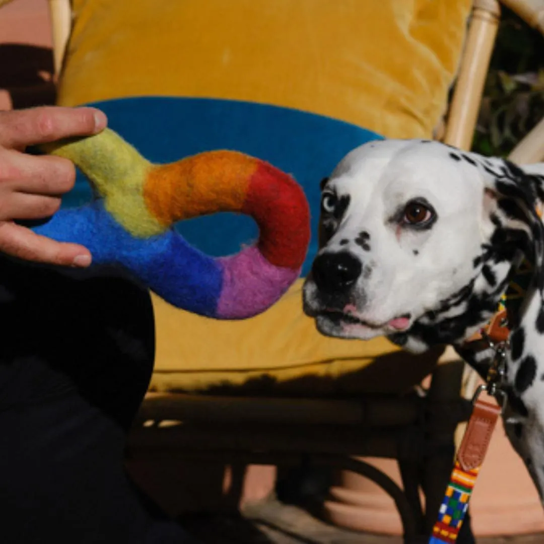 Rainbow Tug Dog Toy