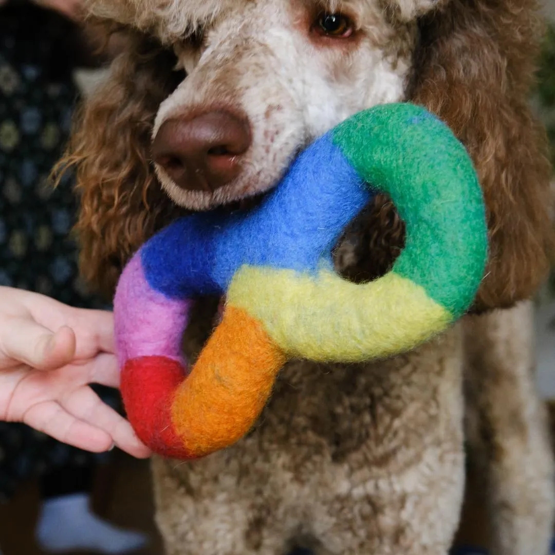 Rainbow Tug Dog Toy